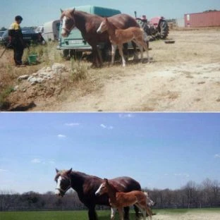 Restauración de fotografía deteriorada