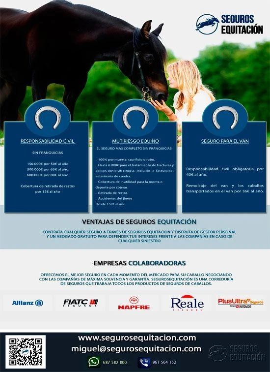 Diseño de flyers para publicidad impresa y redes sociales