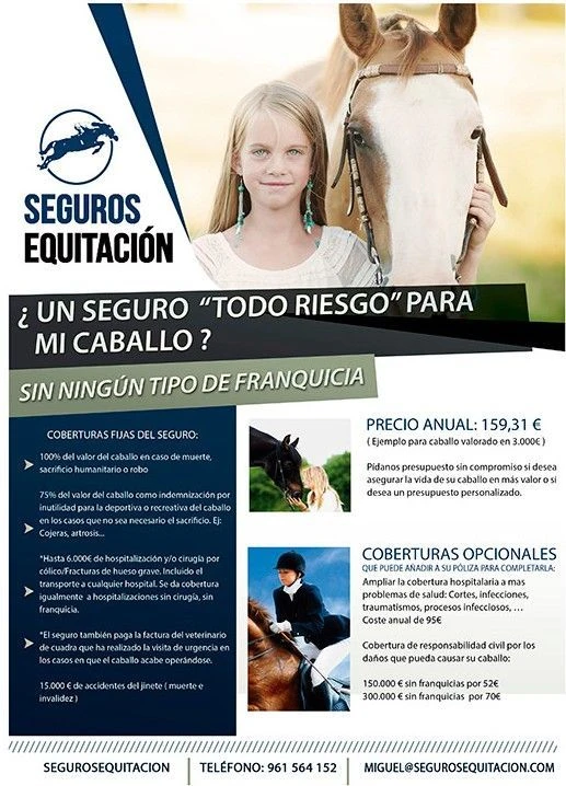 Diseño de flyers para publicidad impresa y redes sociales