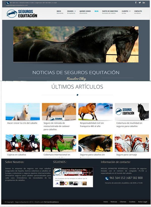 web seguros equitacion
